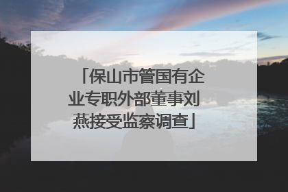 保山市管国有企业专职外部董事刘燕接受监察调查