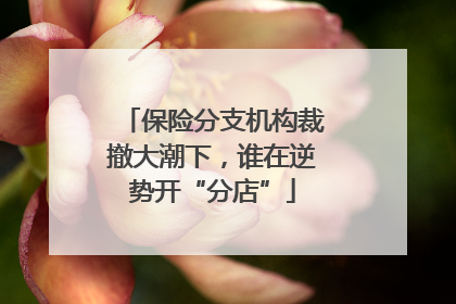 保险分支机构裁撤大潮下，谁在逆势开“分店”