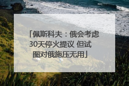 佩斯科夫：俄会考虑30天停火提议 但试图对俄施压无用