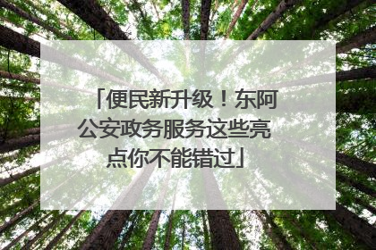 便民新升级！东阿公安政务服务这些亮点你不能错过