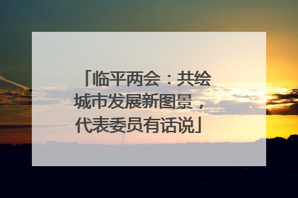 临平两会：共绘城市发展新图景，代表委员有话说