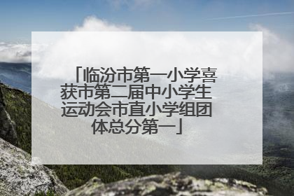 临汾市第一小学喜获市第二届中小学生运动会市直小学组团体总分第一