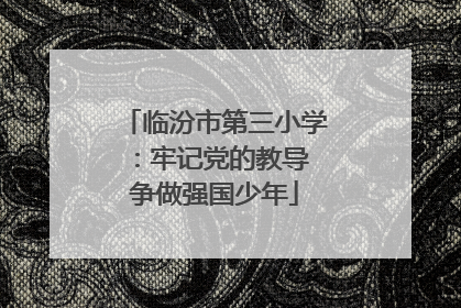 临汾市第三小学：牢记党的教导 争做强国少年