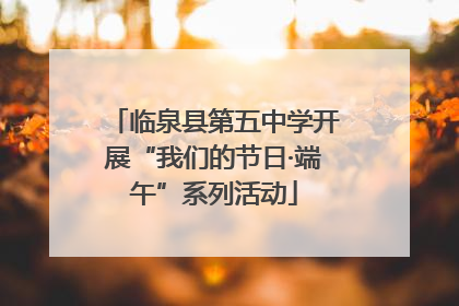 临泉县第五中学开展“我们的节日·端午”系列活动