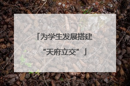 为学生发展搭建“天府立交”