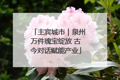 主宾城市｜泉州万件瑰宝绽放 古今对话赋能产业