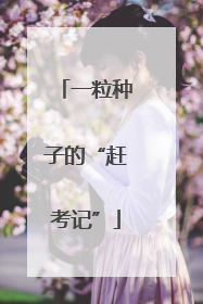 一粒种子的“赶考记”