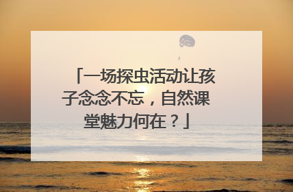 一场探虫活动让孩子念念不忘，自然课堂魅力何在？