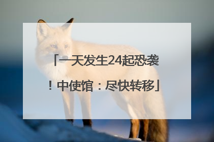 一天发生24起恐袭！中使馆：尽快转移
