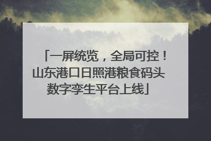 一屏统览，全局可控！山东港口日照港粮食码头数字孪生平台上线