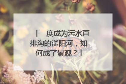 一度成为污水直排沟的滏阳河，如何成了景观？