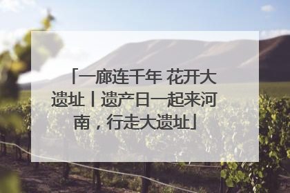 一廊连千年 花开大遗址丨遗产日一起来河南，行走大遗址