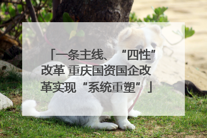 一条主线、“四性”改革 重庆国资国企改革实现“系统重塑”