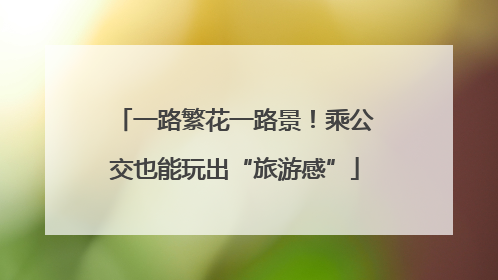 一路繁花一路景！乘公交也能玩出“旅游感”