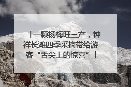 一颗杨梅旺三产，钟祥长滩四季采摘带给游客“舌尖上的惊喜”