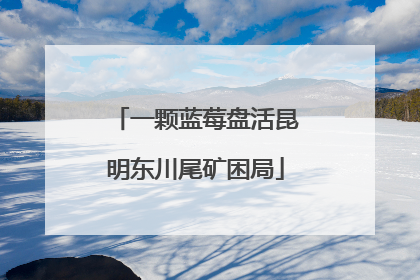 一颗蓝莓盘活昆明东川尾矿困局