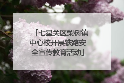 七星关区梨树镇中心校开展铁路安全宣传教育活动