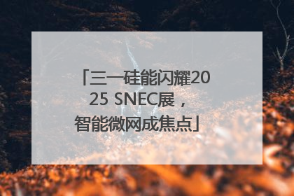三一硅能闪耀2025 SNEC展，智能微网成焦点