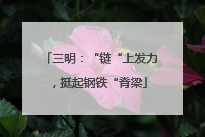三明：“链“上发力，挺起钢铁“脊梁
