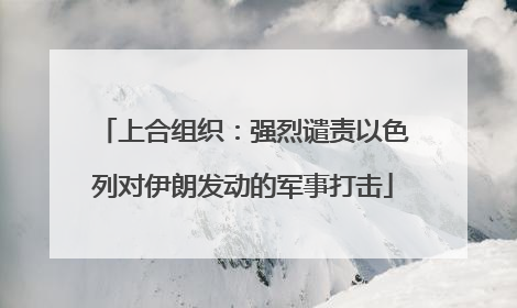 上合组织：强烈谴责以色列对伊朗发动的军事打击
