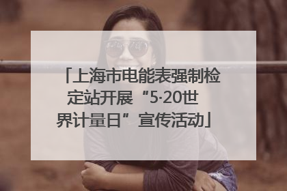 上海市电能表强制检定站开展“5·20世界计量日”宣传活动