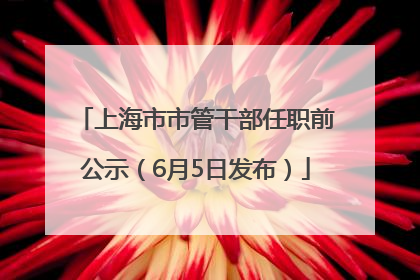 上海市市管干部任职前公示（6月5日发布）