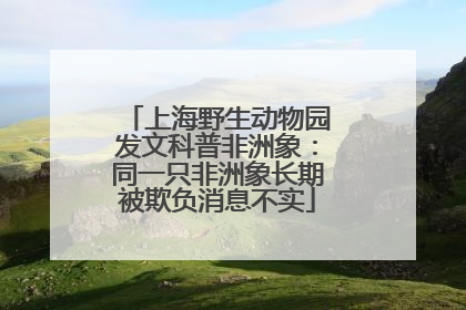 上海野生动物园发文科普非洲象：同一只非洲象长期被欺负消息不实