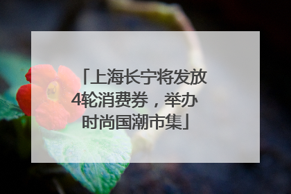 上海长宁将发放4轮消费券，举办时尚国潮市集