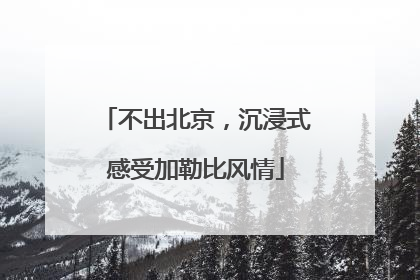 不出北京，沉浸式感受加勒比风情