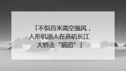 不惧百米高空强风，人形机器人在燕矶长江大桥走“猫道”