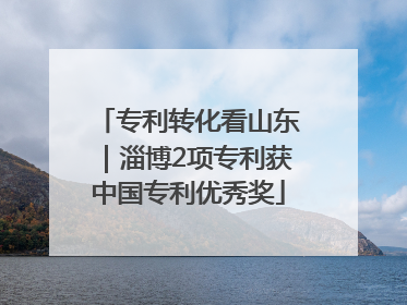 专利转化看山东｜淄博2项专利获中国专利优秀奖