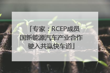 专家：RCEP成员国新能源汽车产业合作驶入共赢快车道