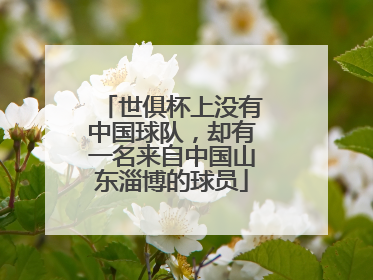 世俱杯上没有中国球队，却有一名来自中国山东淄博的球员
