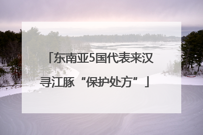 东南亚5国代表来汉寻江豚“保护处方”