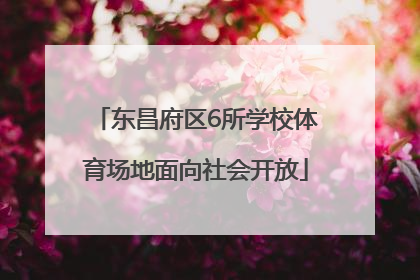 东昌府区6所学校体育场地面向社会开放