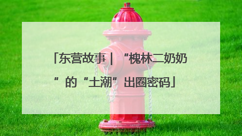 东营故事｜“槐林二奶奶”的“土潮”出圈密码