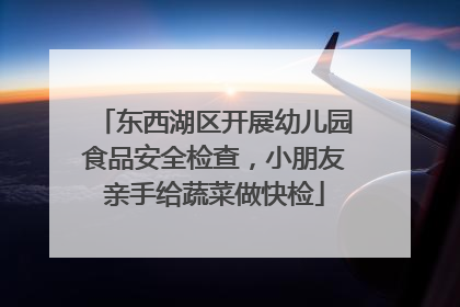 东西湖区开展幼儿园食品安全检查，小朋友亲手给蔬菜做快检