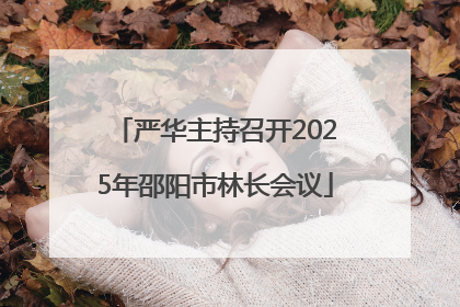 严华主持召开2025年邵阳市林长会议