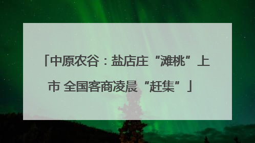 中原农谷：盐店庄“滩桃”上市 全国客商凌晨“赶集”