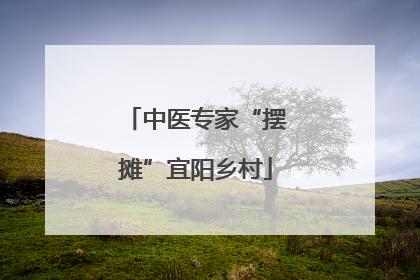 中医专家“摆摊”宜阳乡村