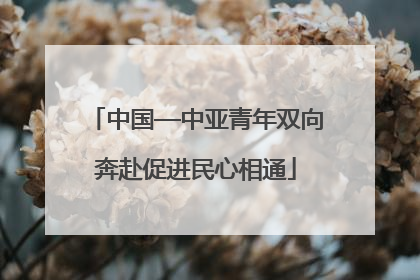 中国—中亚青年双向奔赴促进民心相通