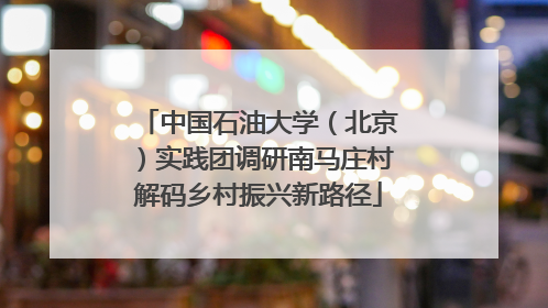 中国石油大学（北京）实践团调研南马庄村解码乡村振兴新路径