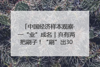 中国经济样本观察·一“业”成名｜真有两把刷子！“刷”出30亿级“颜值经济”