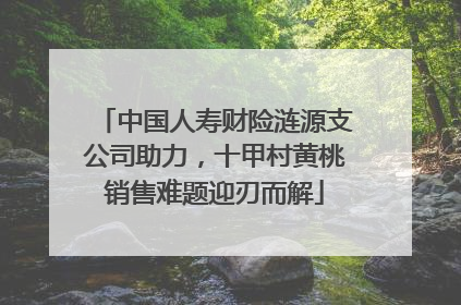 中国人寿财险涟源支公司助力，十甲村黄桃销售难题迎刃而解