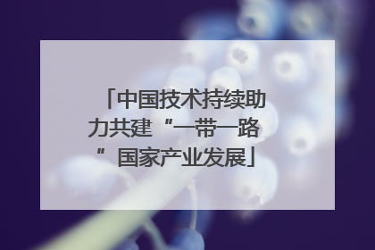 中国技术持续助力共建“一带一路”国家产业发展