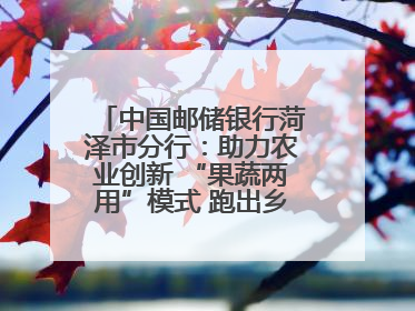 中国邮储银行菏泽市分行：助力农业创新 “果蔬两用”模式 跑出乡村振兴加速度
