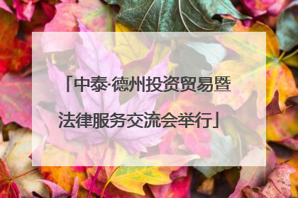 中泰·德州投资贸易暨法律服务交流会举行