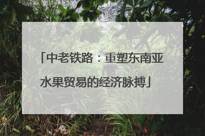 中老铁路：重塑东南亚水果贸易的经济脉搏