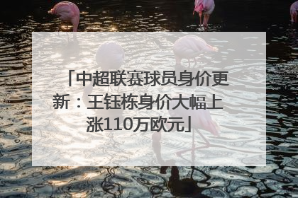 中超联赛球员身价更新：王钰栋身价大幅上涨110万欧元