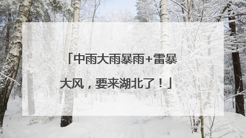 中雨大雨暴雨+雷暴大风，要来湖北了！